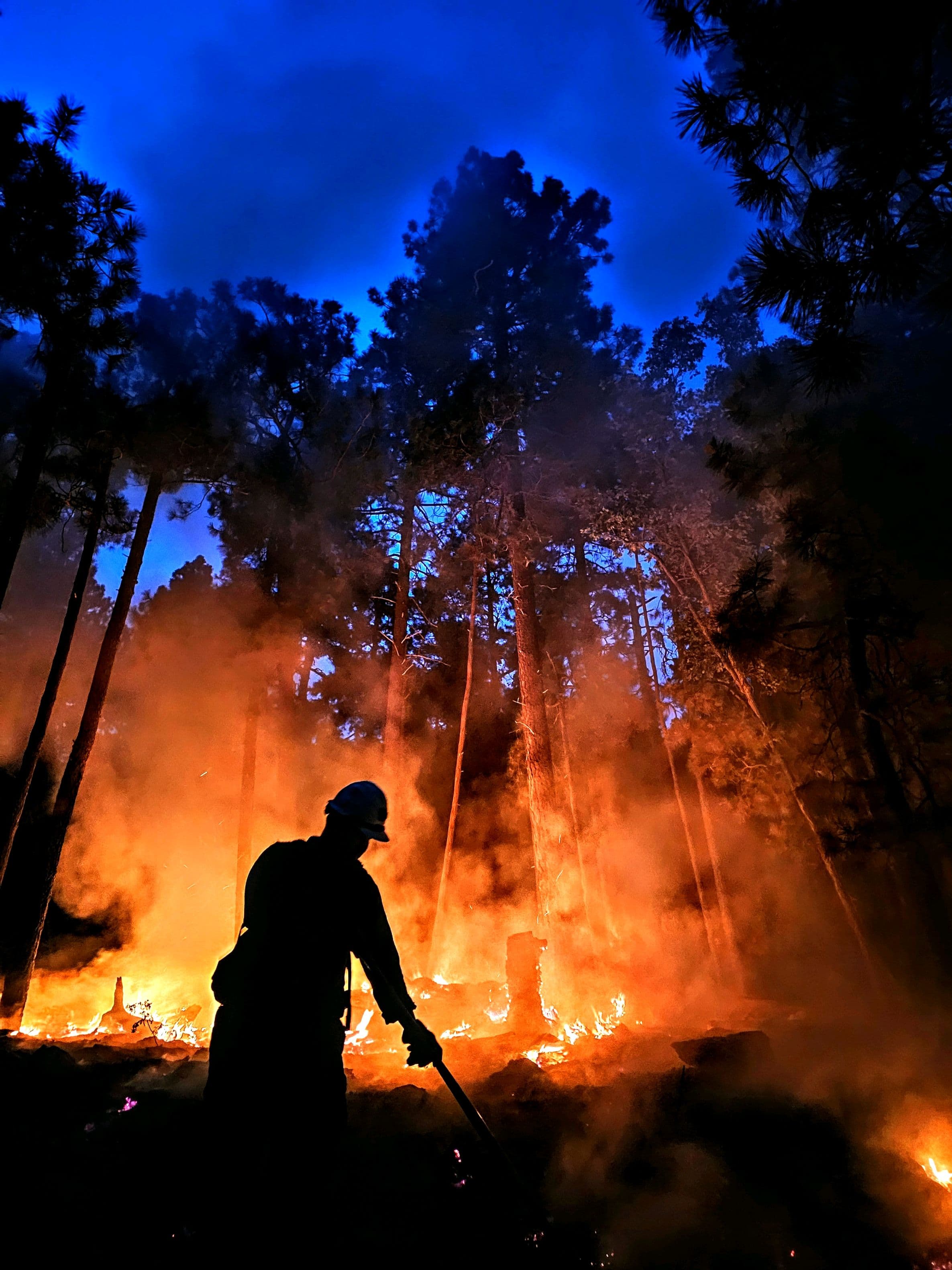 Founder silhouette on a fireline